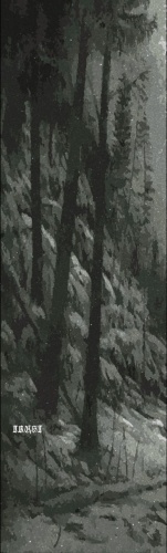 Самокат Шкурка Trust Forest