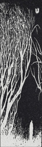 Самокат Шкурка Trust Trees